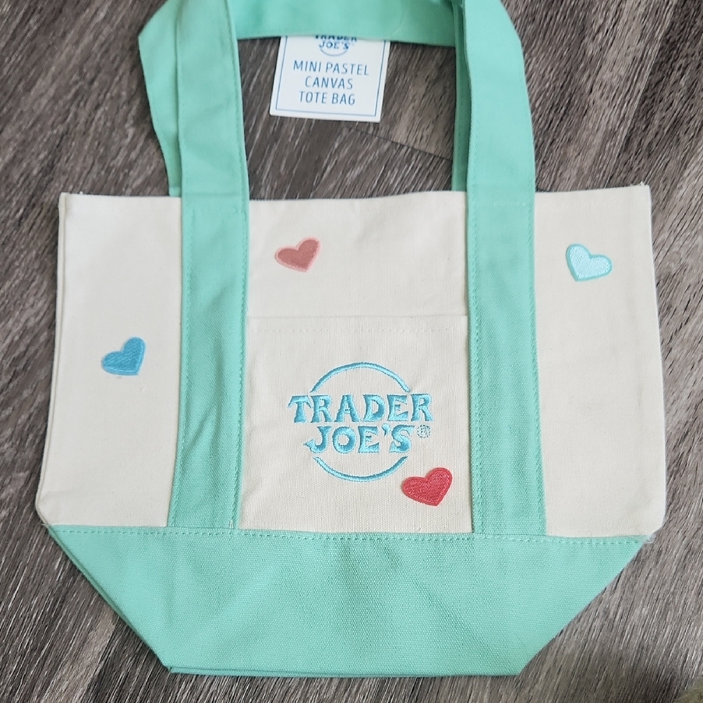 Trader Joe's Mini Canvas Decorated Pastel Green Tote Bag